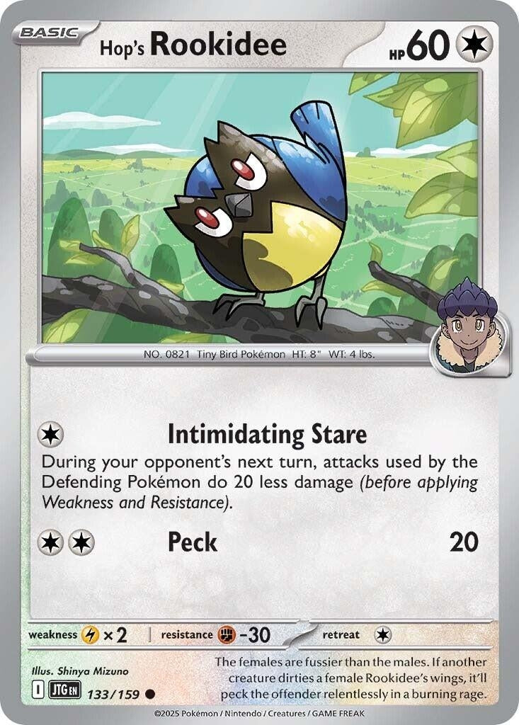Image for Hop's Rookidee - Pokemon