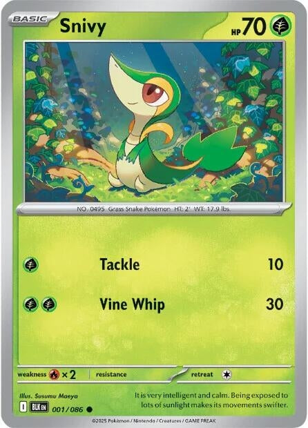 Image for Snivy - Pokemon