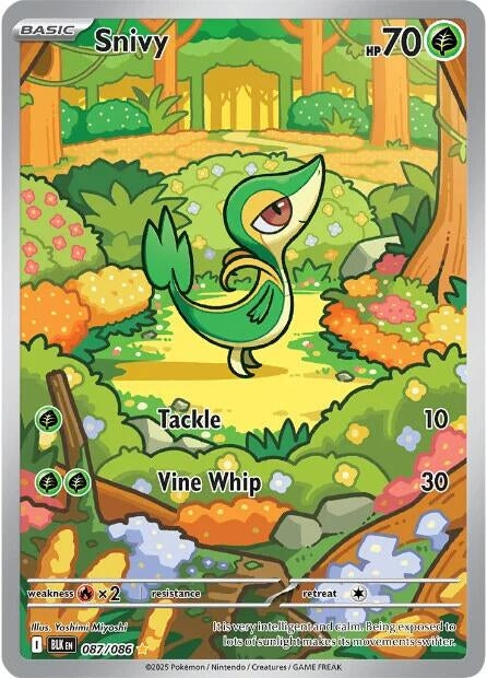 Image for Snivy - Pokemon