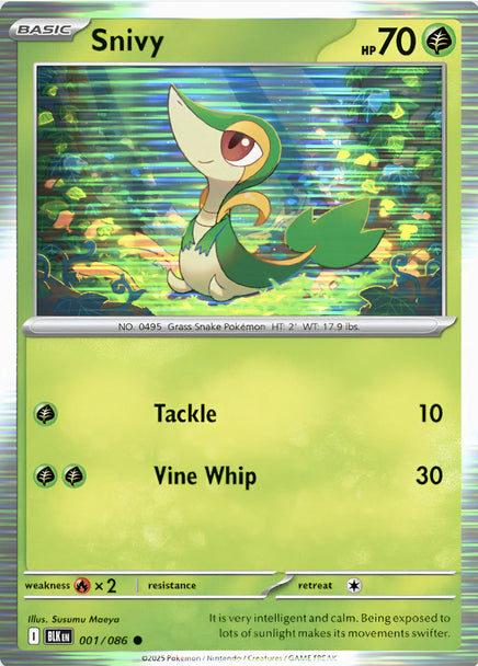 Snivy
