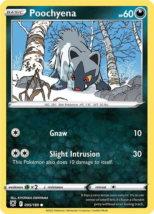 Image for Poochyena - Pokemon