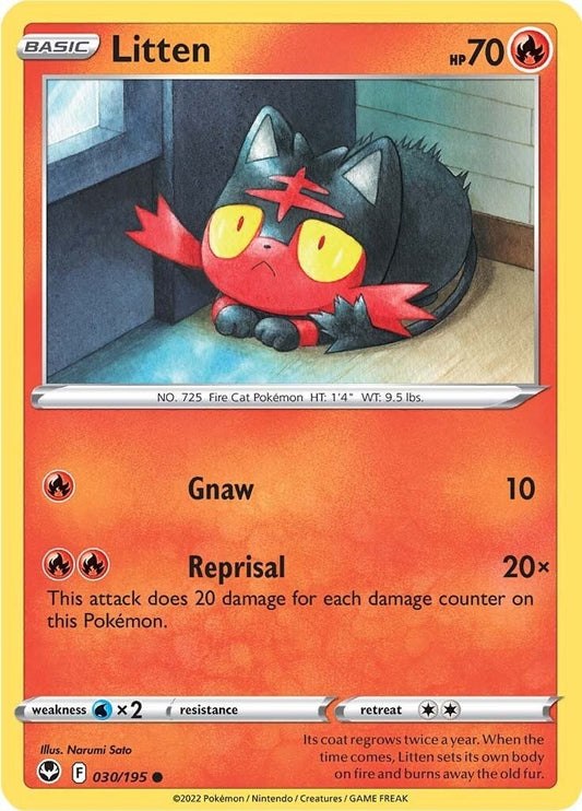 Image for Litten - Pokemon