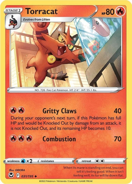 Image for Torracat - Pokemon