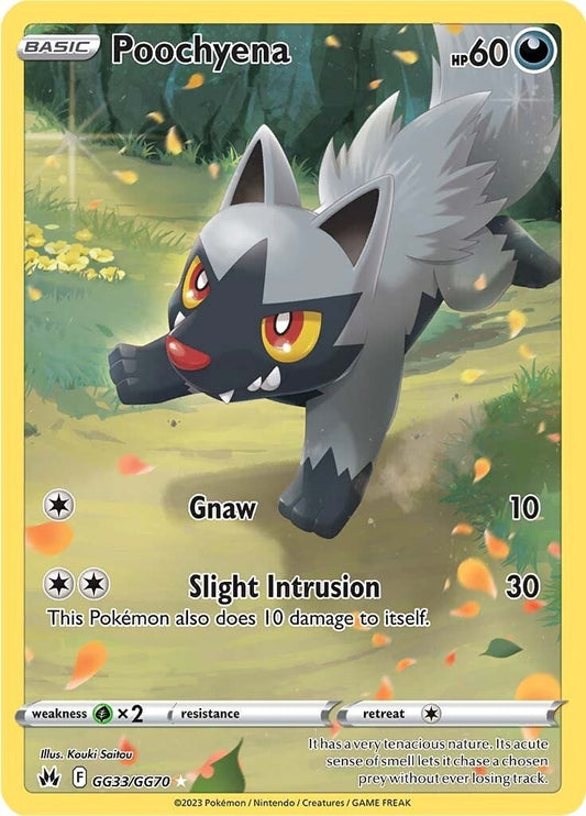 Image for Poochyena - Pokemon