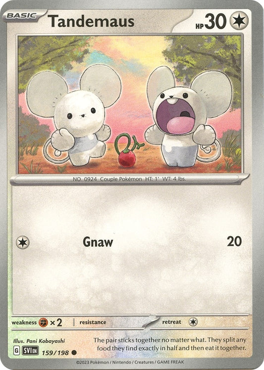 Image for Tandemaus - Pokemon