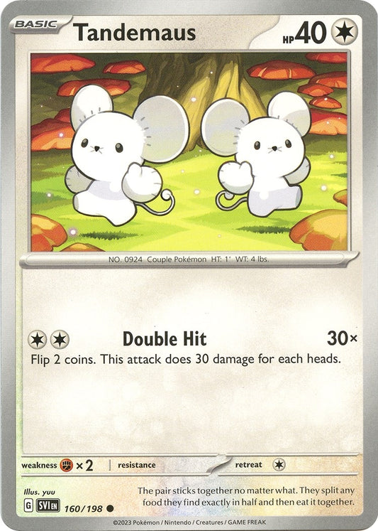 Image for Tandemaus - Pokemon