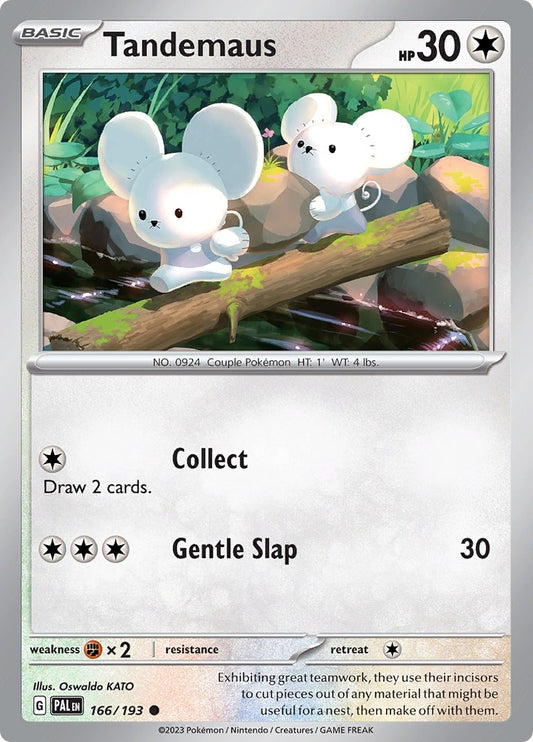 Image for Tandemaus - Pokemon
