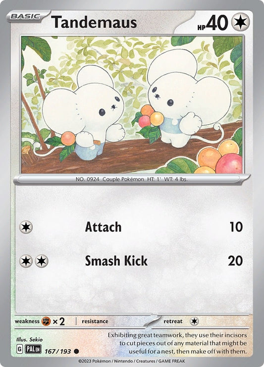 Image for Tandemaus - Pokemon