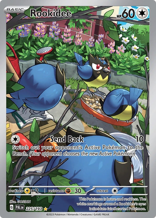 Image for Rookidee - Pokemon