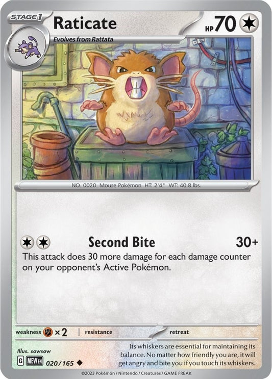 Image for Raticate - Pokemon