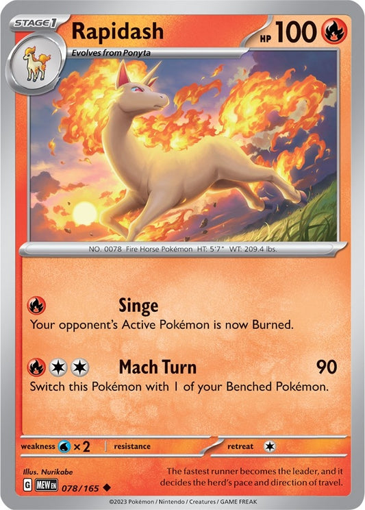 Image for Rapidash - Pokemon
