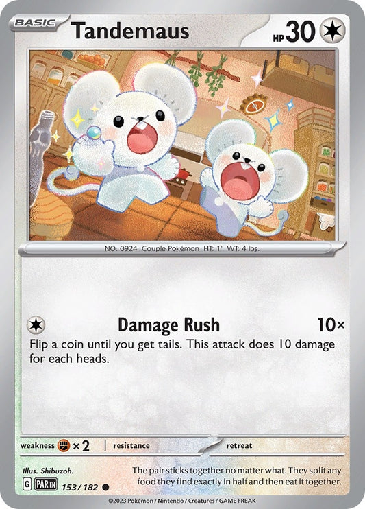 Image for Tandemaus - Pokemon