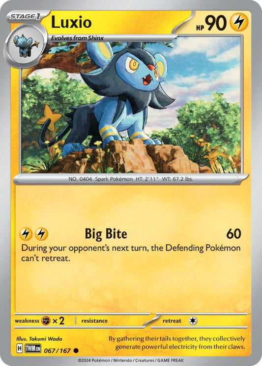 Image for Luxio - Pokemon