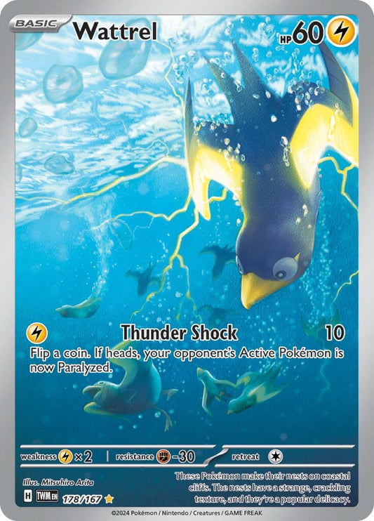 Image for Wattrel - Pokemon