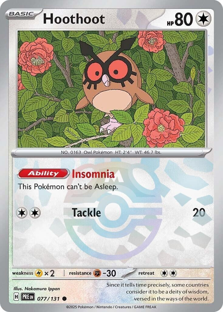 Image for Hoothoot (Master Ball Pattern) - Pokemon