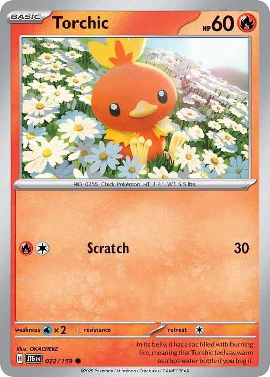 Image for Torchic - Pokemon
