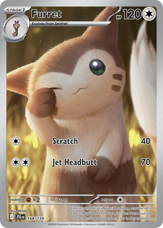 Image for Furret - Pokemon