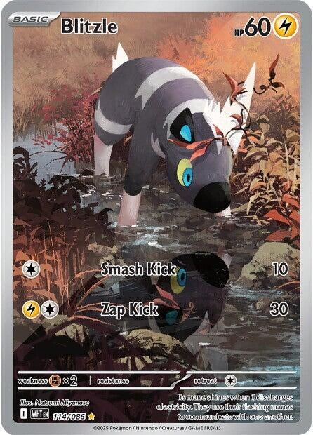Image for Blitzle - Pokemon