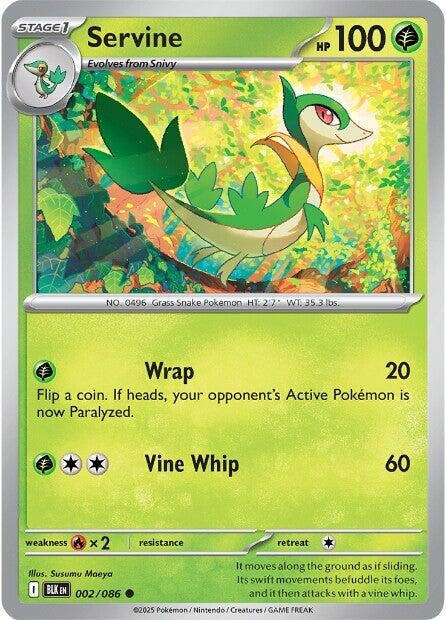 Image for Servine - Pokemon