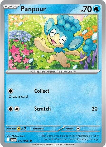 Image for Panpour - Pokemon