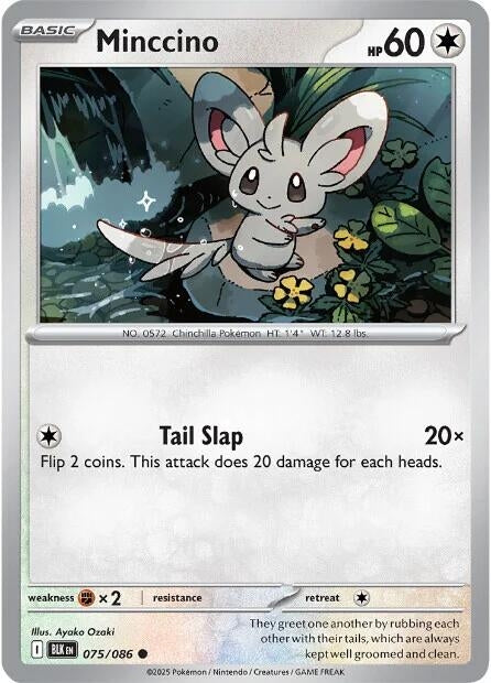 Image for Minccino - Pokemon