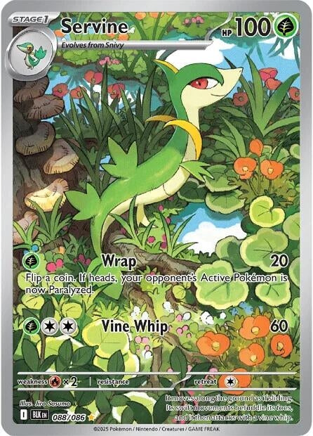 Image for Servine - Pokemon
