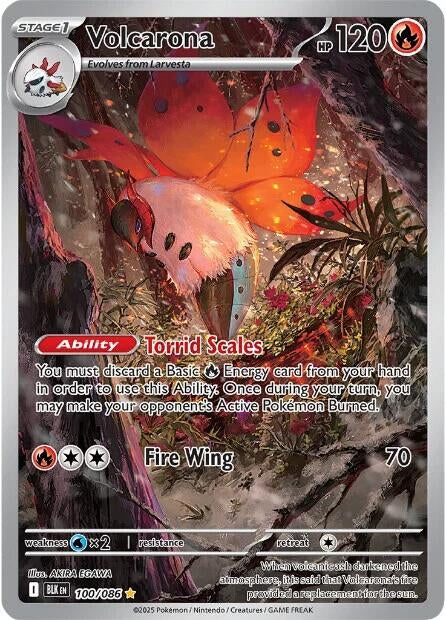 Image for Volcarona - Pokemon