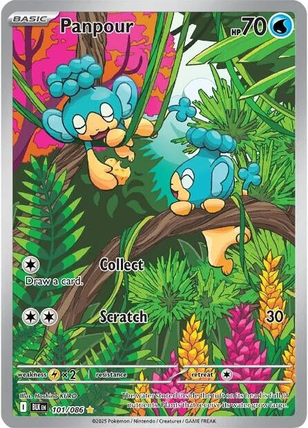 Image for Panpour - Pokemon