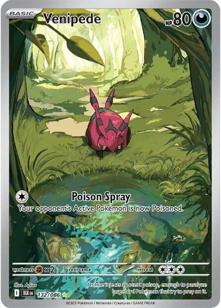 Image for Venipede - Pokemon