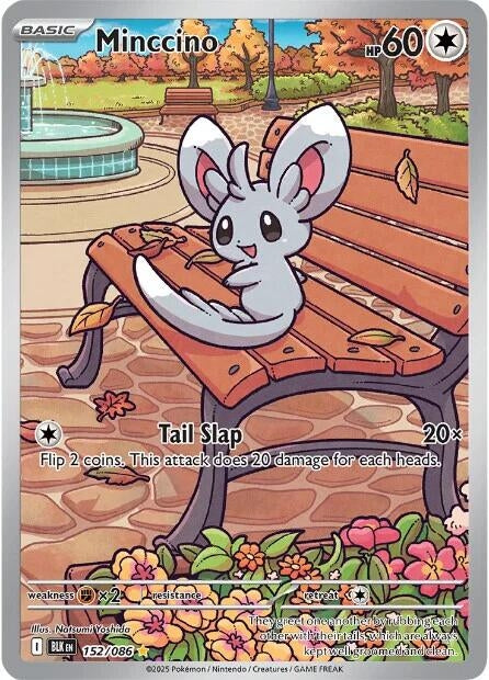 Image for Minccino - Pokemon