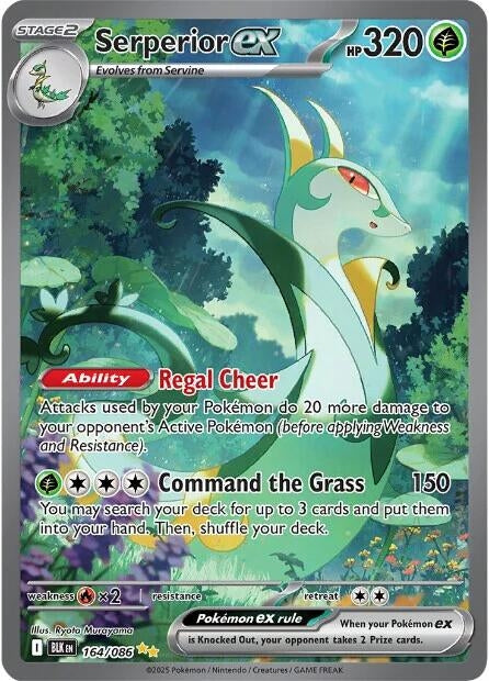 Image for Serperior ex - Pokemon