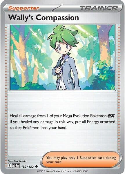 Image for Wally's Compassion - Pokemon