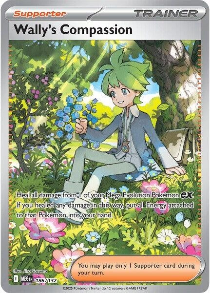 Image for Wally's Compassion - Pokemon