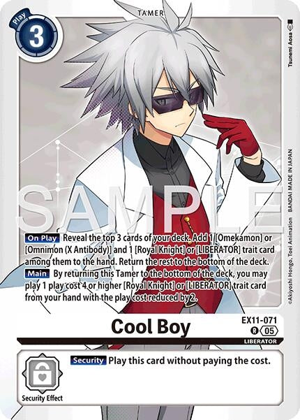 Image for Cool Boy - Digimon Card Game